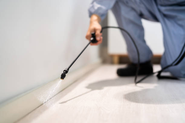 Licensed Pest Control service in Pauls Valley, OK - Show Me Pest Control