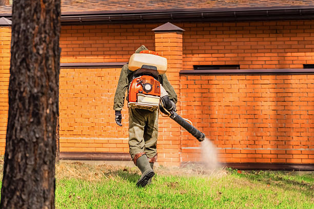 Bed Bug Clearance Verification and Documentation in Pauls Valley